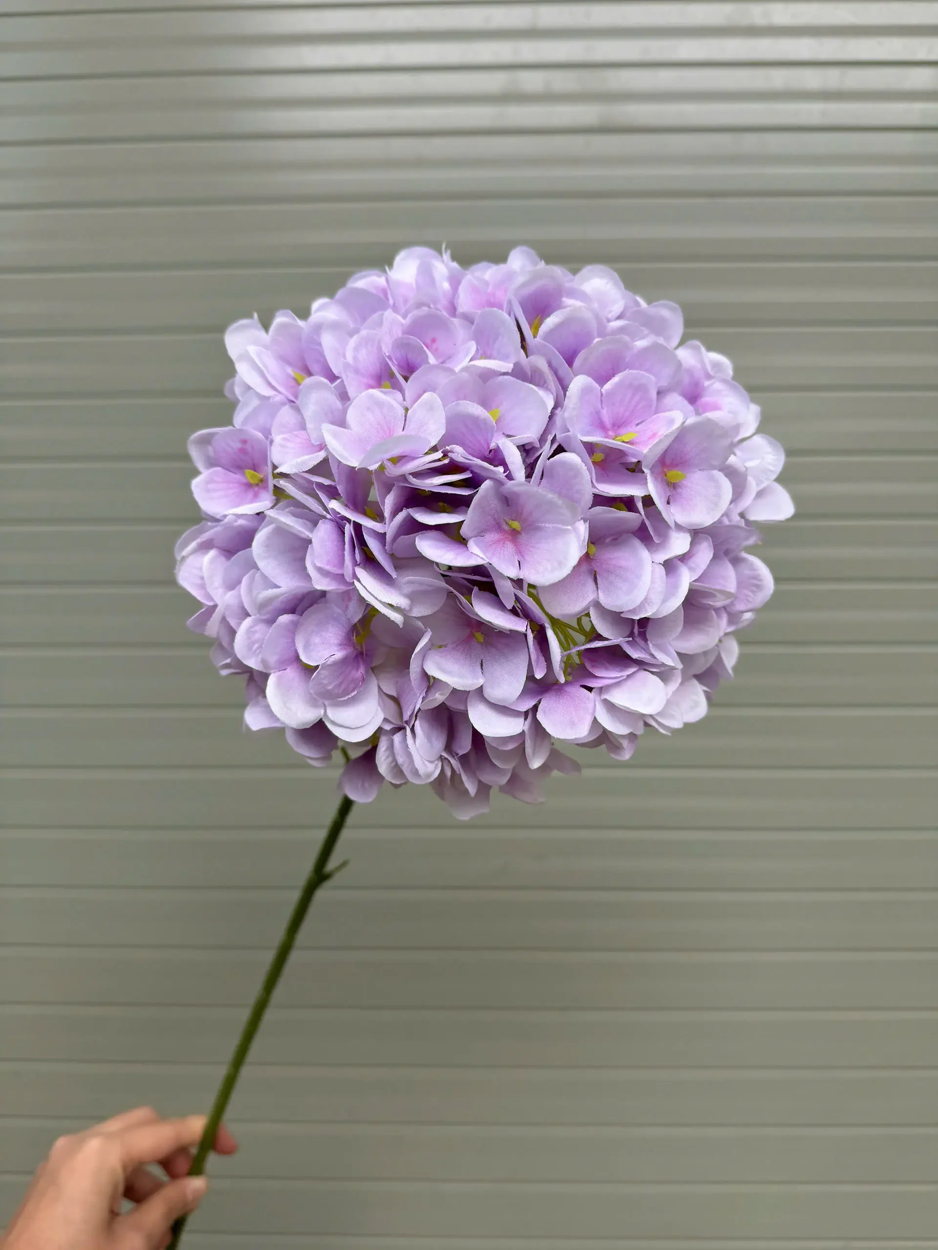 TÚ CẦU KHÔ - Ảnh 10