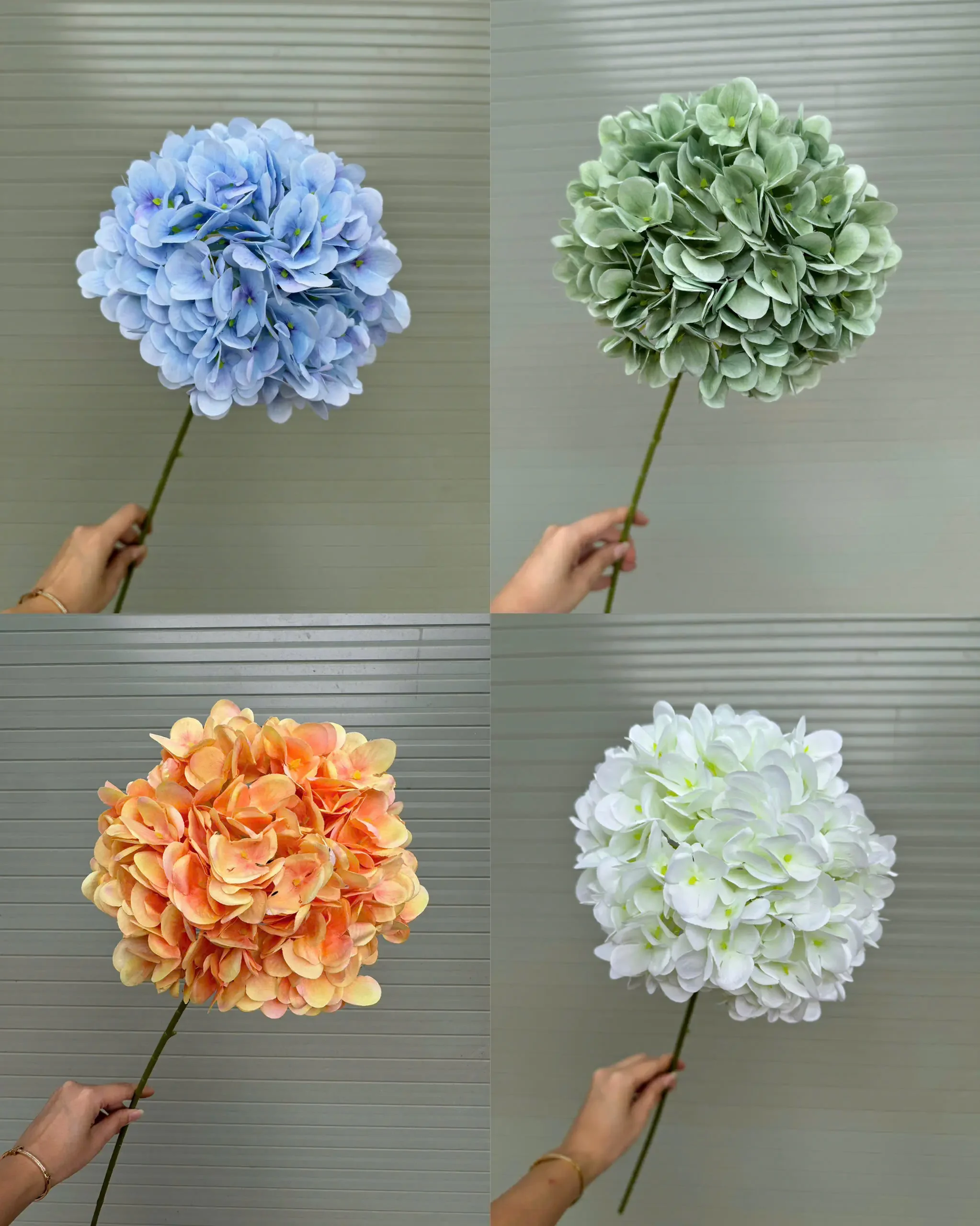 TÚ CẦU KHÔ - Ảnh 3