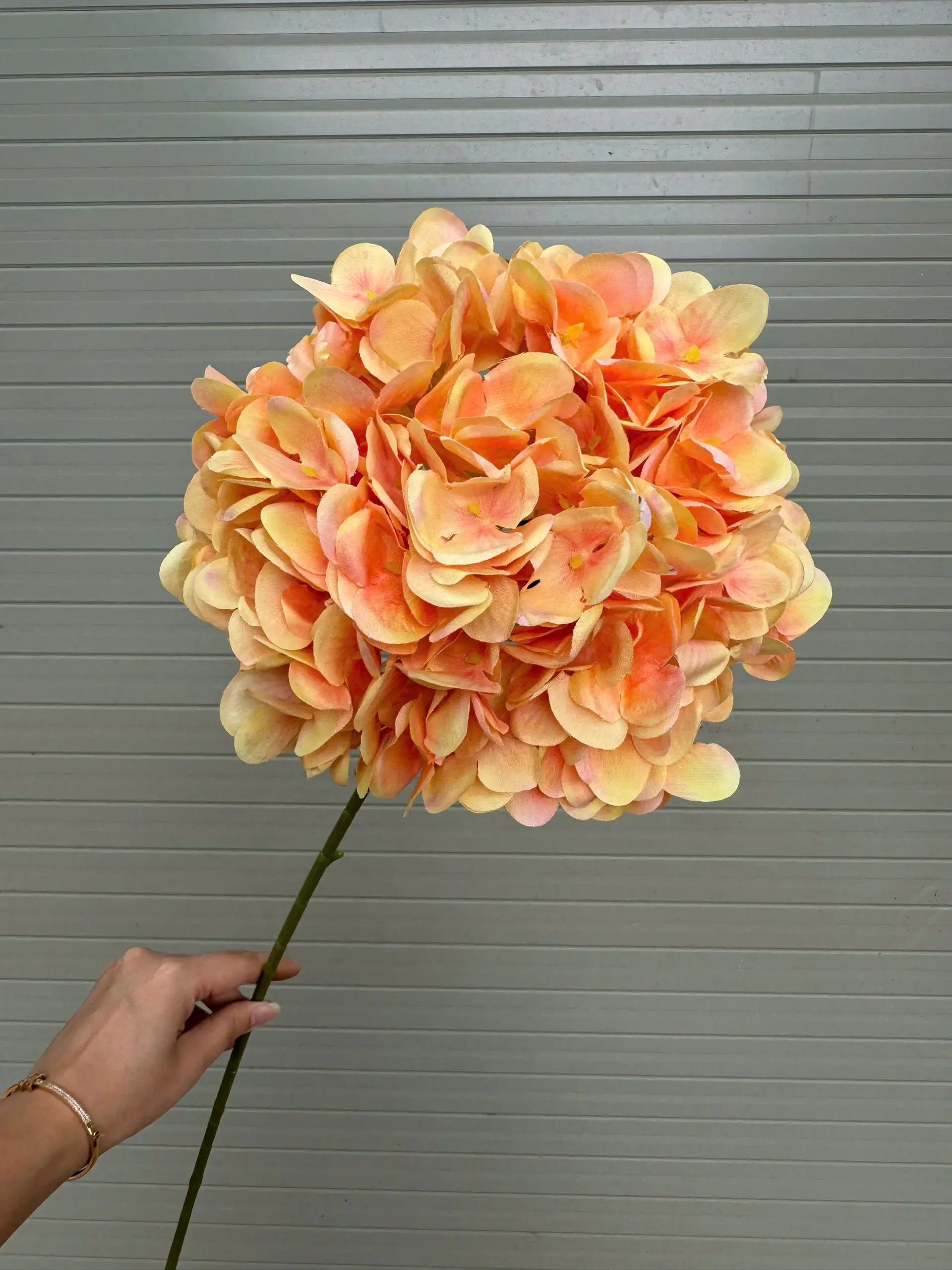 TÚ CẦU KHÔ - Ảnh 4