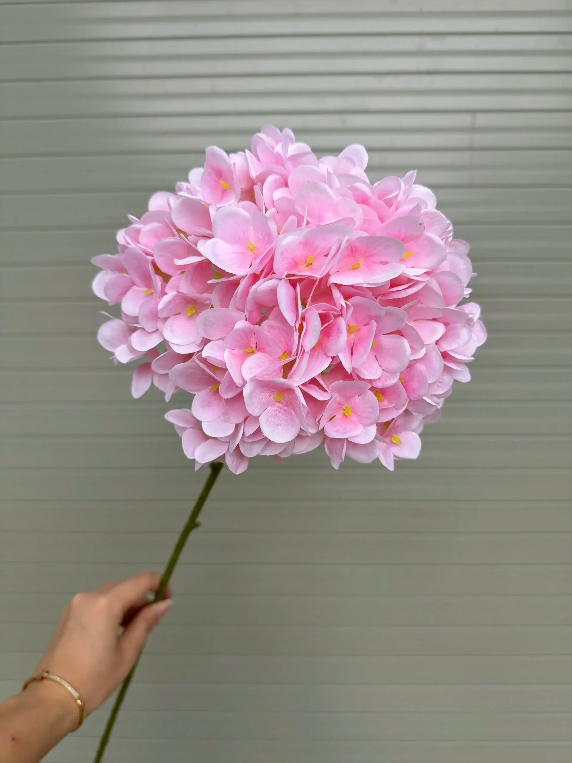 TÚ CẦU KHÔ - Ảnh 14