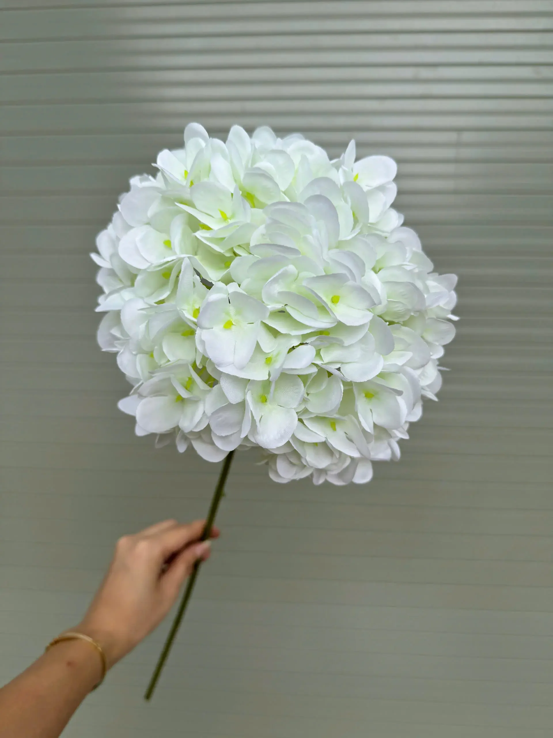 TÚ CẦU KHÔ - Ảnh 6