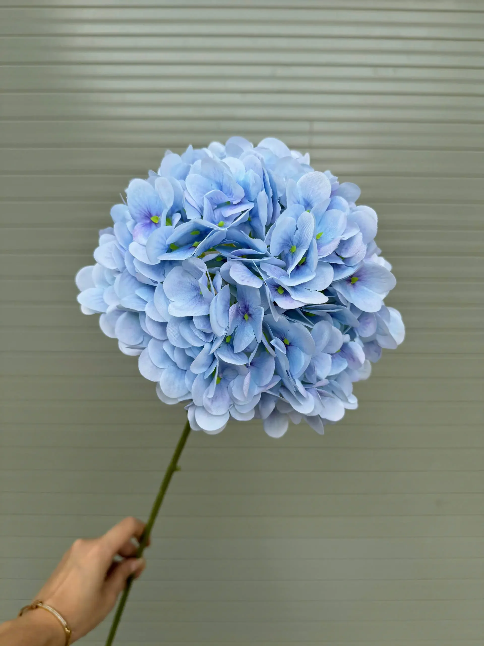 TÚ CẦU KHÔ - Ảnh 12