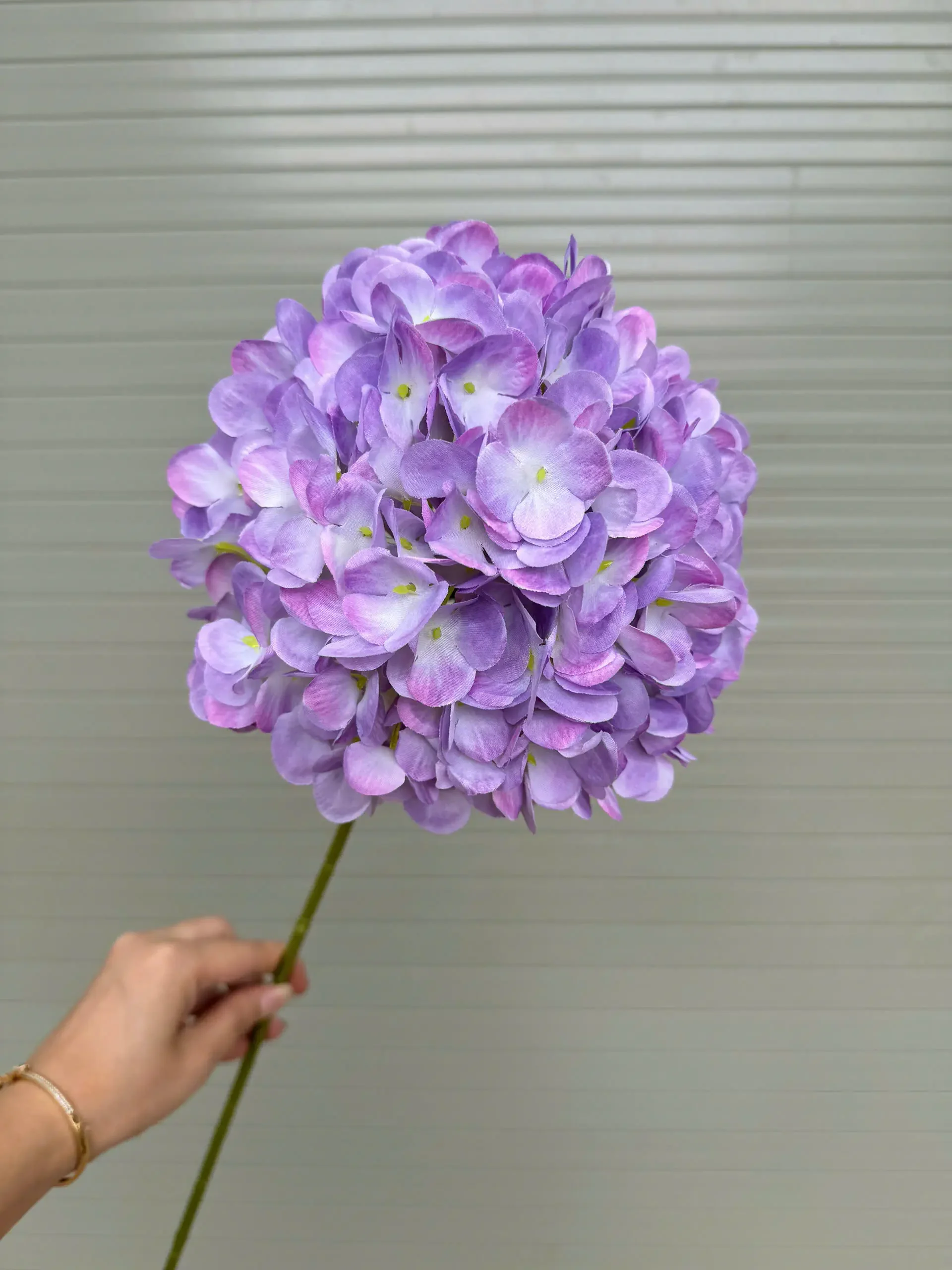 TÚ CẦU KHÔ - Ảnh 2
