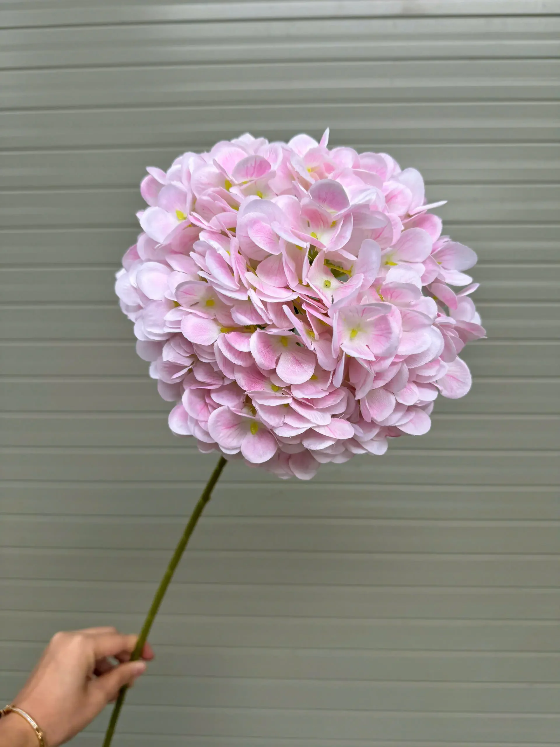 TÚ CẦU KHÔ - Ảnh 11