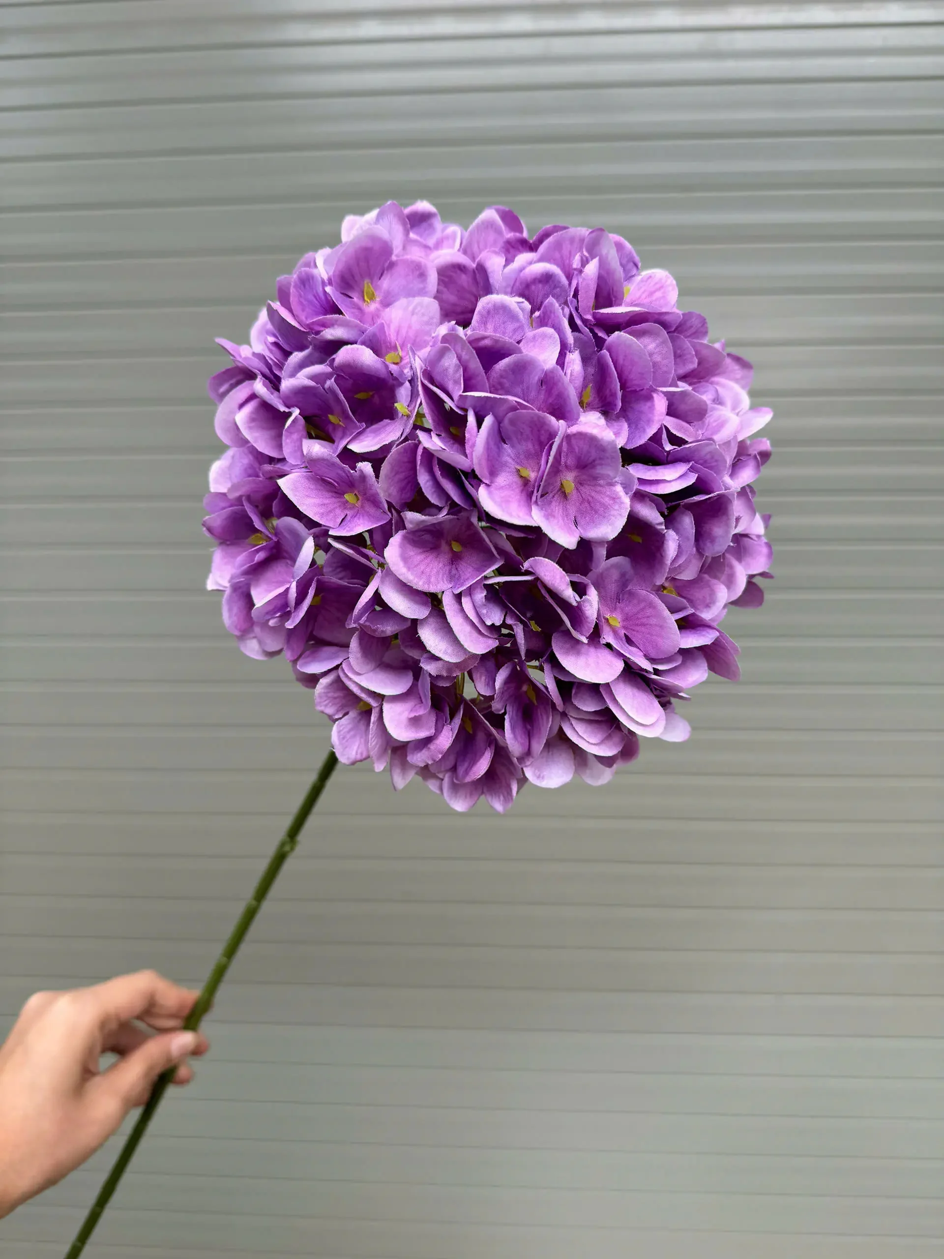 TÚ CẦU KHÔ - Ảnh 9
