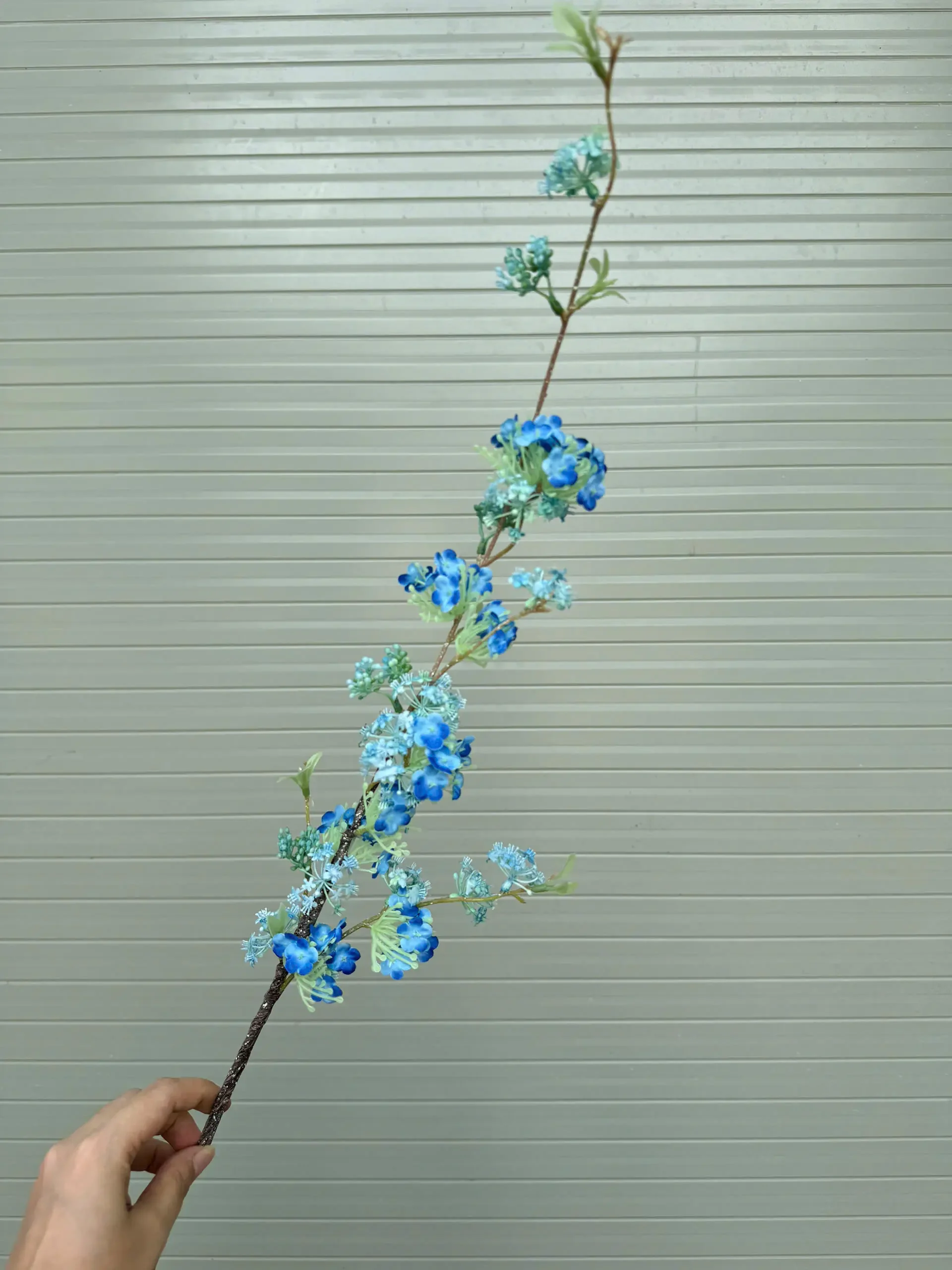 TUYẾT MAI 1 NHÁNH - Ảnh 5