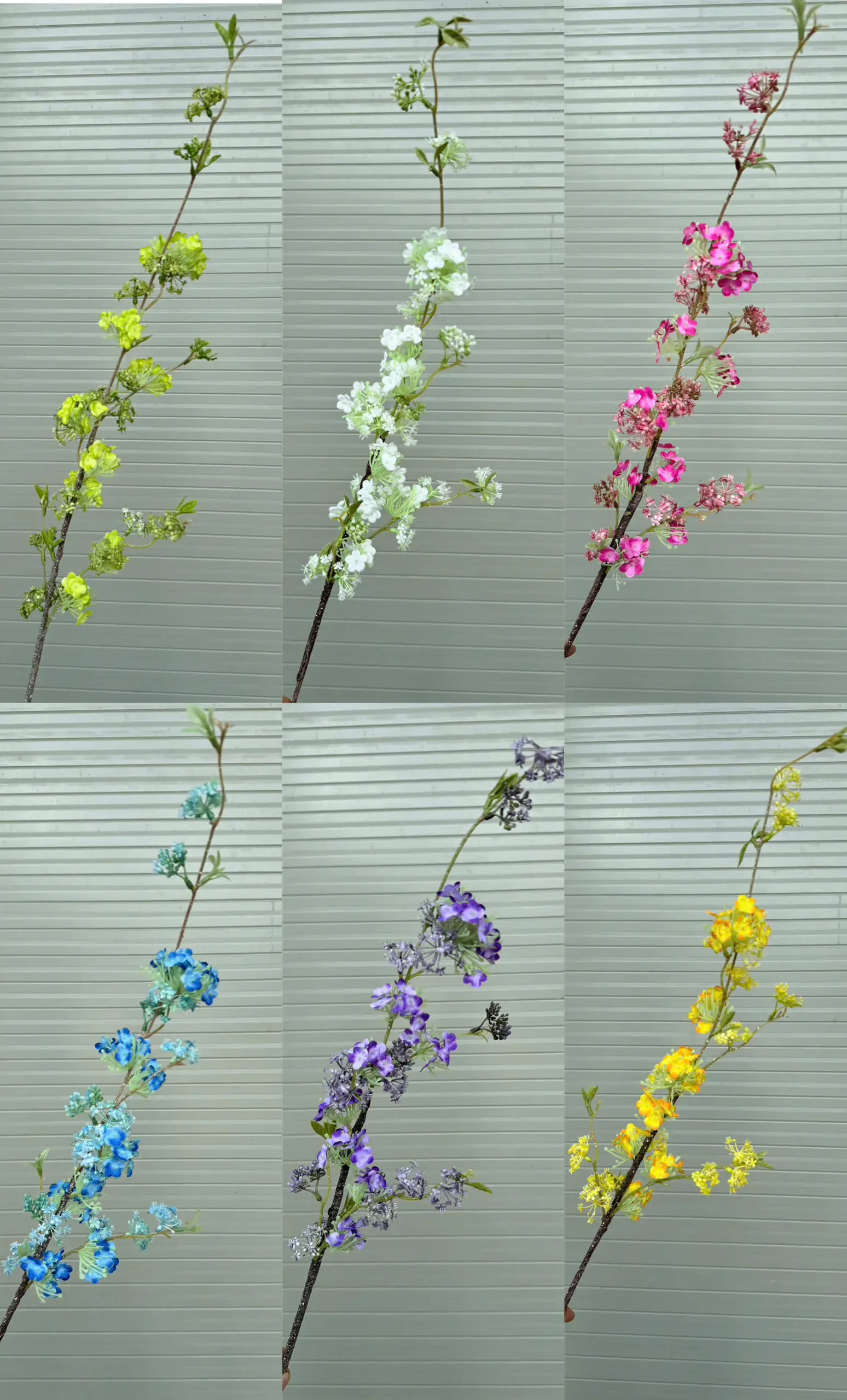 TUYẾT MAI 1 NHÁNH - Ảnh 2
