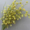 TUYẾT MAI NỤ