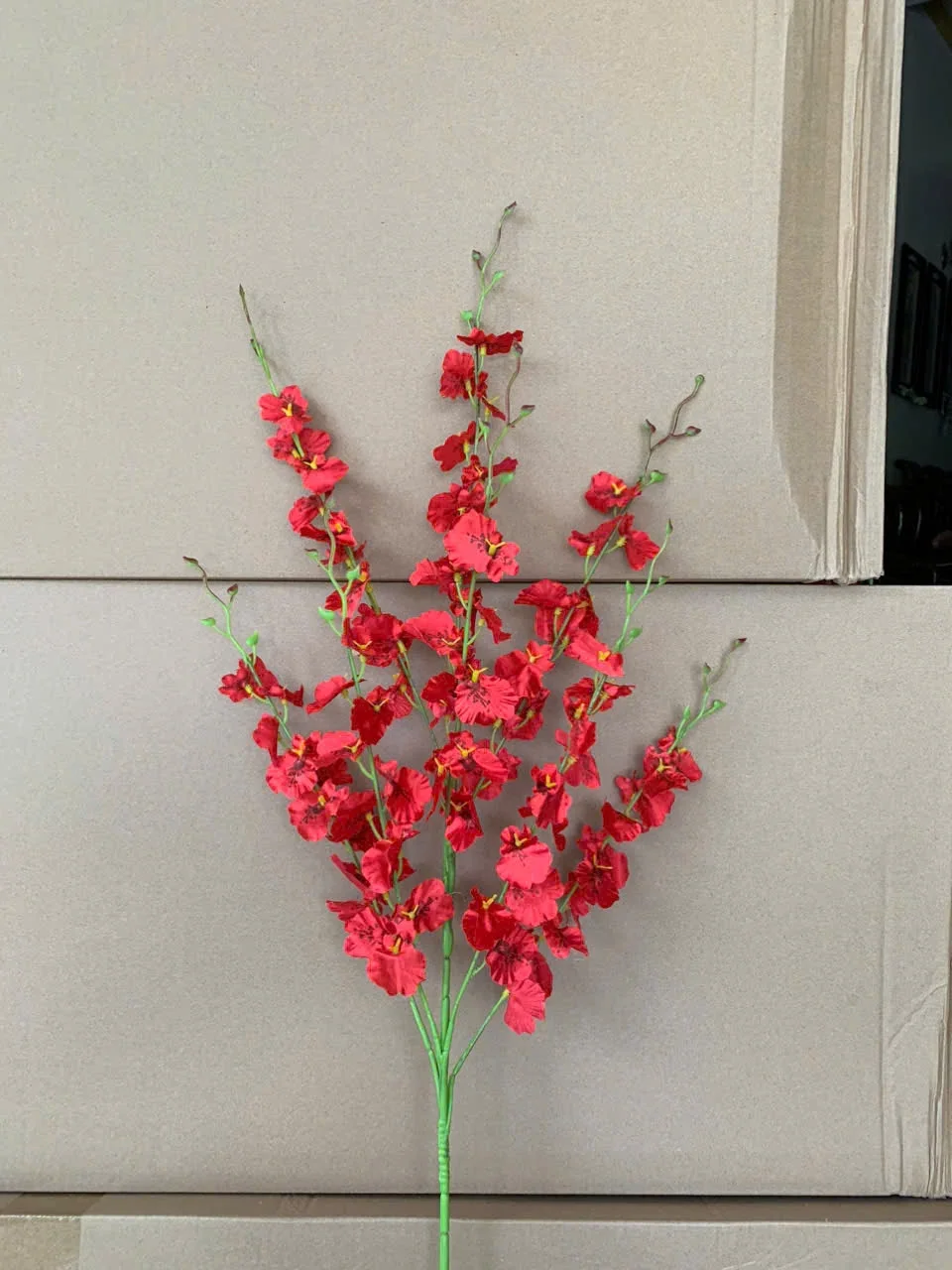 VŨ NỮ ĐẠI VN - Ảnh 5