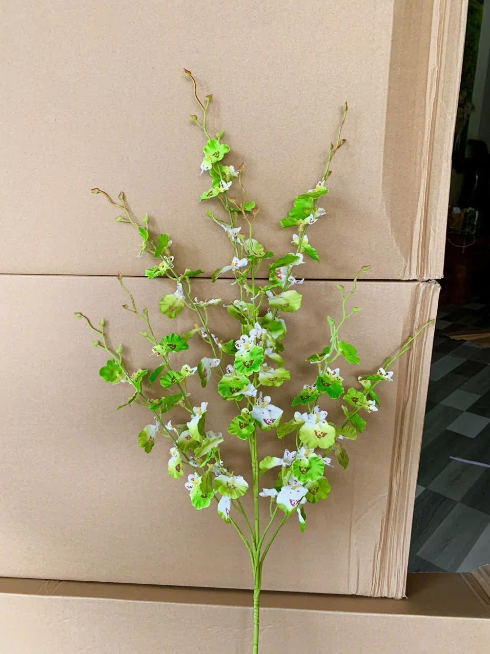VŨ NỮ ĐẠI VN - Ảnh 2
