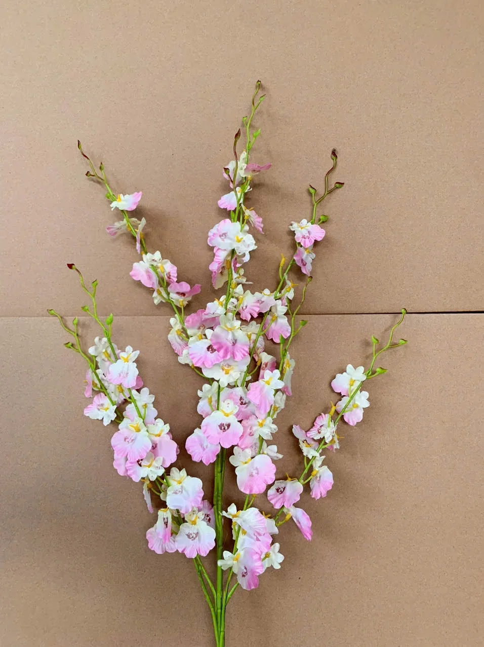VŨ NỮ ĐẠI VN - Ảnh 3