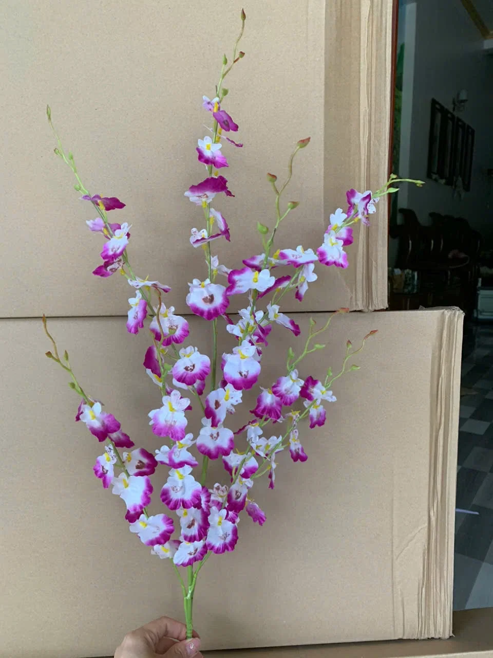 VŨ NỮ ĐẠI VN - Ảnh 8