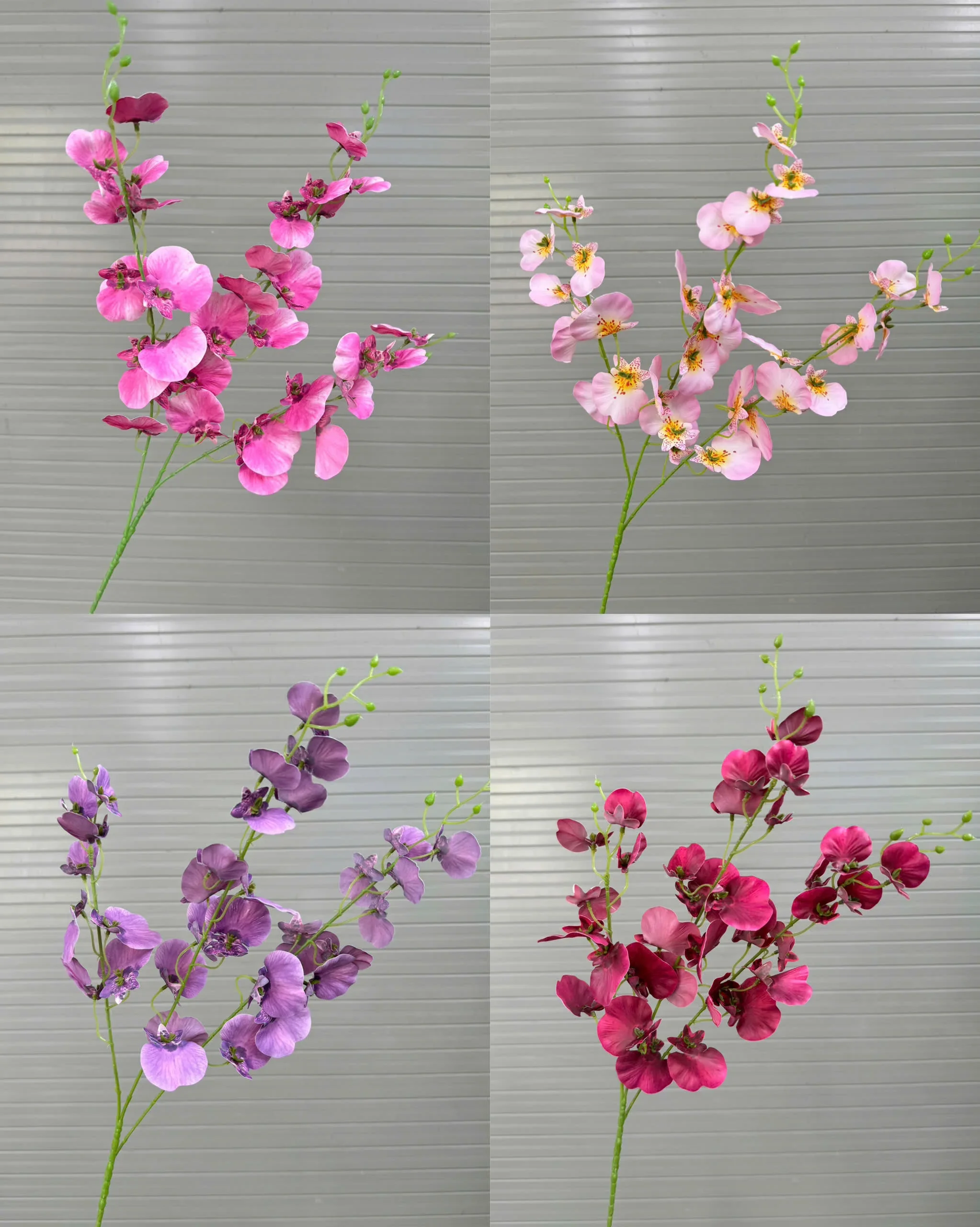 VŨ NỮA CAO SU TQ - Ảnh 9
