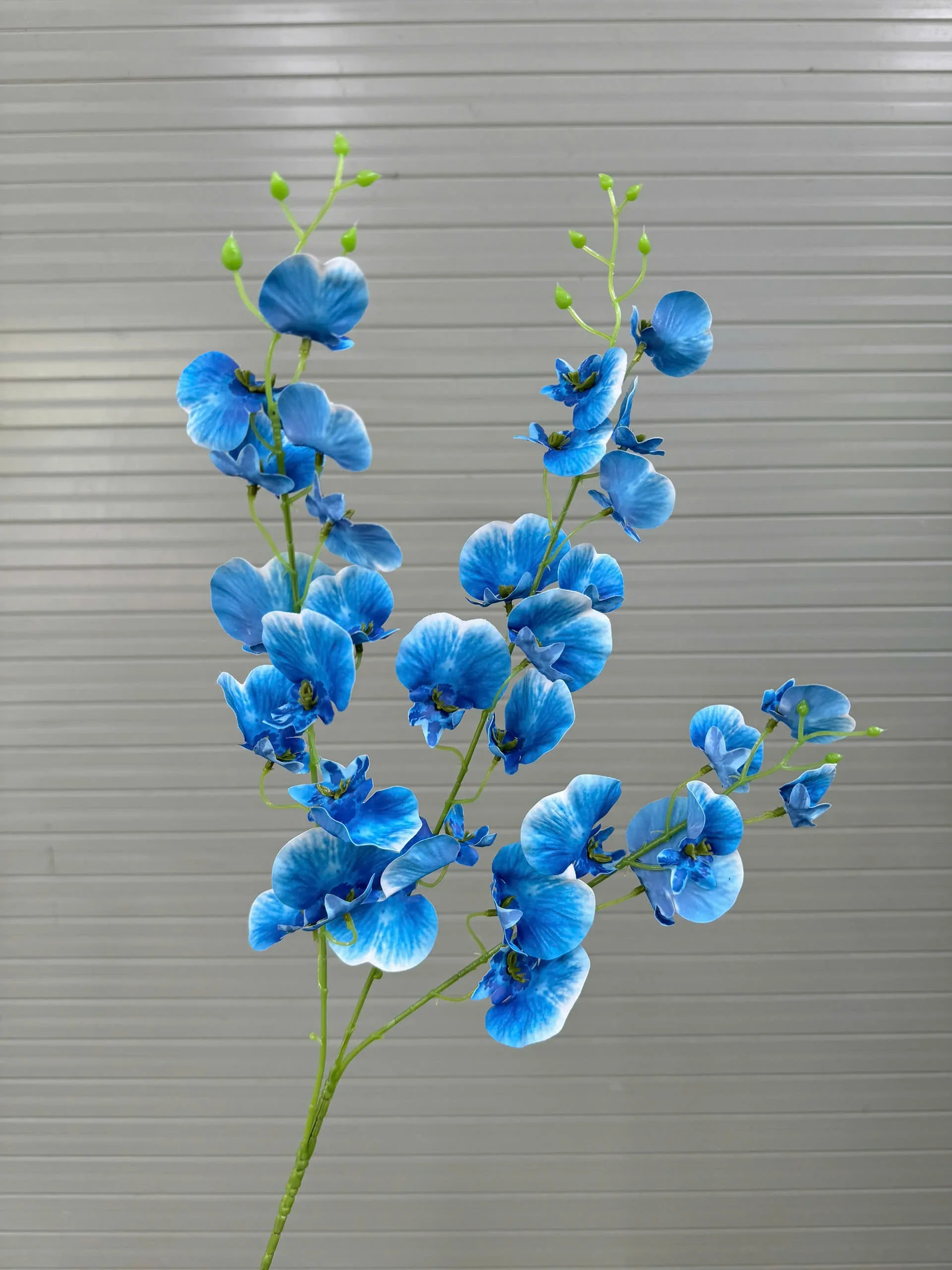VŨ NỮA CAO SU TQ - Ảnh 4