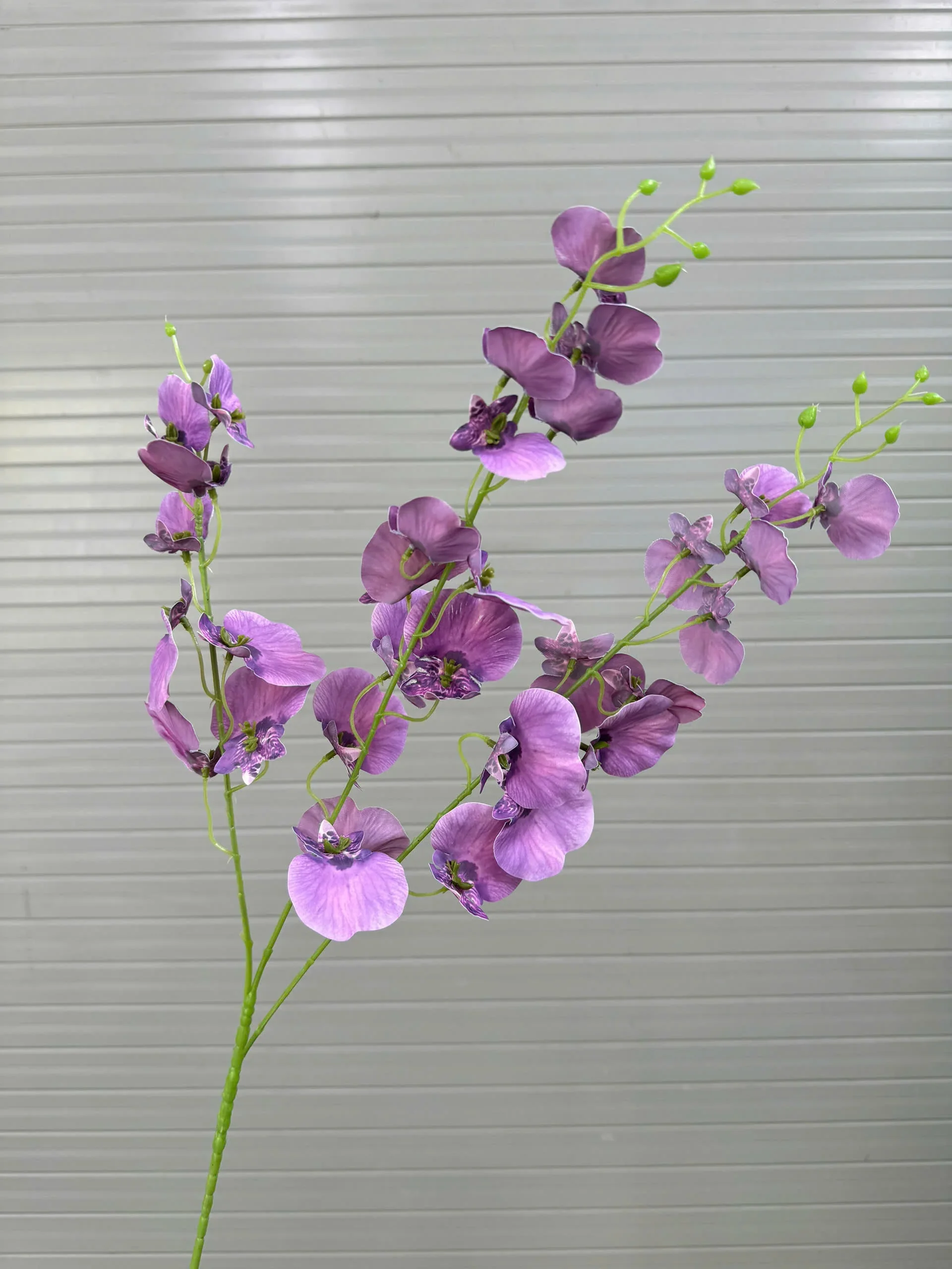 VŨ NỮA CAO SU TQ - Ảnh 6
