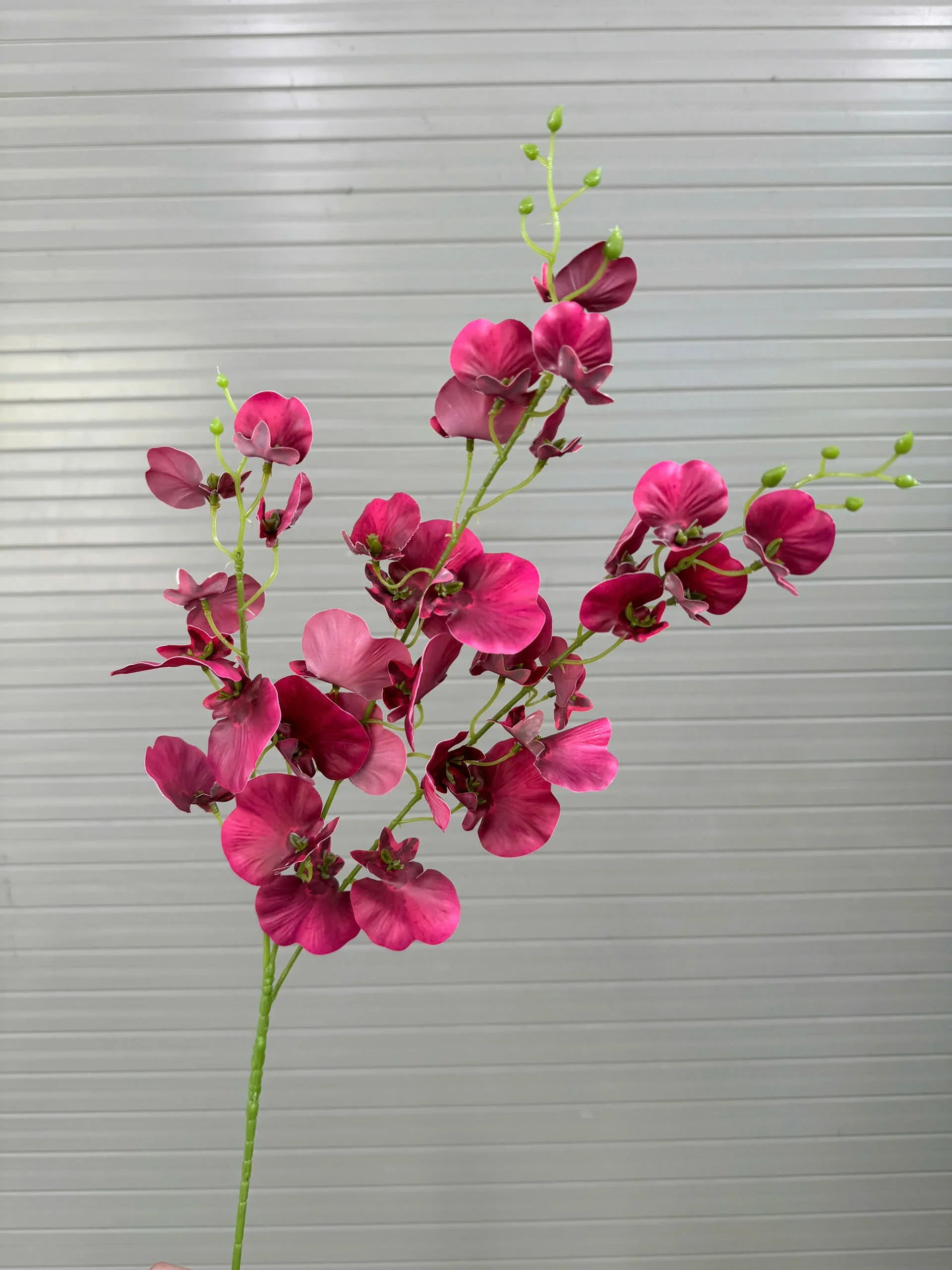 VŨ NỮA CAO SU TQ - Ảnh 5