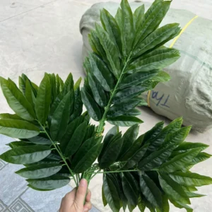 XÀ CỪ BÓ