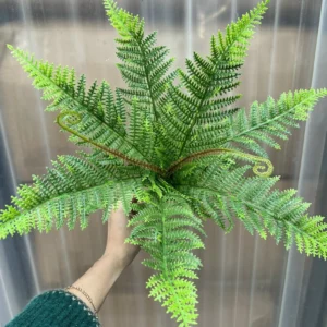 XỈ VÒI